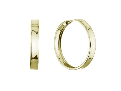 33346 stribrne pozlacene nausnice kruhy 61067