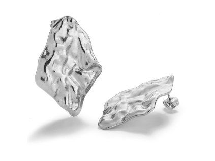 Náušnice 41024.1 SELIRA