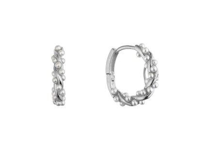 38040 11810 1 shell perla ag