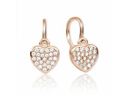 2390010089205 1 1,00g