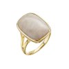 Pozlacený prsten obdélník s fosilním korálem 15026.3 (Velikost 52 (průměr 16,6mm))