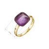 Pozlacený prsten s ametystem 15032.3 (Velikost 52 (průměr 16,6mm))
