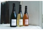 Champagne degustace