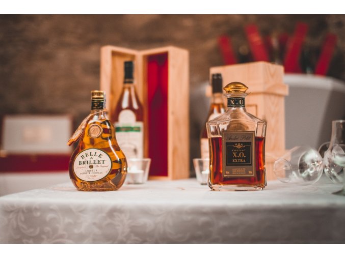 Cognac degustace 2