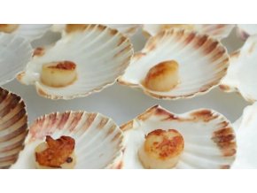 depositphotos 372685516 stock video cook prepare delicious appetizer scallops