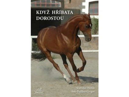 kdyz hribata dorostou 9788090397439