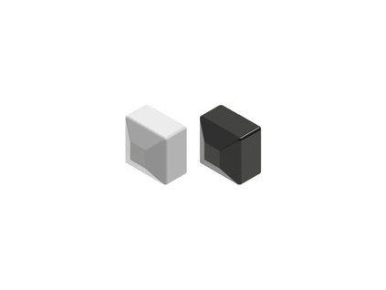 ZG nopal40x40 v t