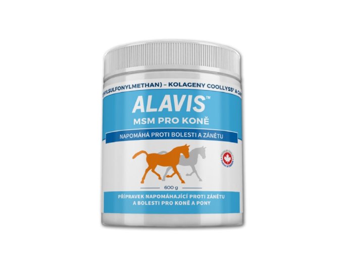 alavis msm pro kone
