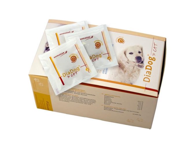 diadog