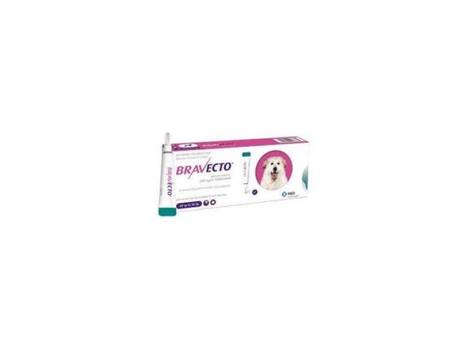 OBC016335 1611081207