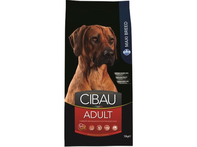 cibau adult maxi 12