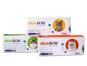 OBC013496 1484816297