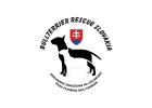 27. Bullterier rescue Slovakia