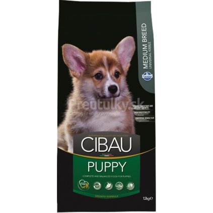 cibau puppy 12