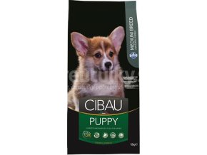 cibau puppy 12