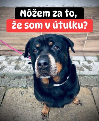 ❗️SMUTNÁ ZIMA V HUMENNOM POKRAČUJE 😭❗️ ❌❌❌❌❌❌❌❌❌❌❌❌❌❌❌❌❌❌❌❌❌❌ Tri roky prežívajú len vďaka tomu, čo sa podarí nejako...