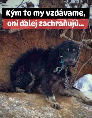 ❗️S TÝMITO ÚTULKAMI TO UŽ VZDÁVAME 😭😭😭❗️ ❌❌❌❌❌❌❌❌❌❌❌❌❌❌❌❌❌❌❌❌❌❌ Je to veľmi smutné, ale už to naozaj pomaly vzdávame....