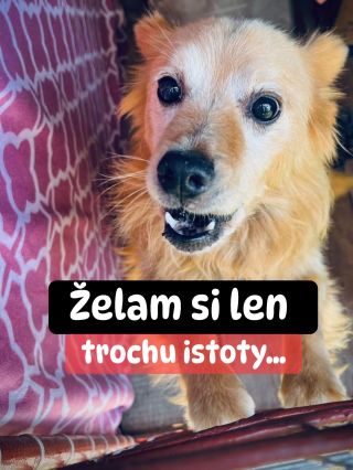 ❗️SÚ ÚTULKY, KTORÉ BOJUJÚ POTICHU… A SAMÉ 🥺❗️ ❌❌❌❌❌❌❌❌❌❌❌❌❌❌❌❌❌❌❌❌❌❌ Nie všade sa pomoc rozdeľuje rovnakým dielom. Sú...