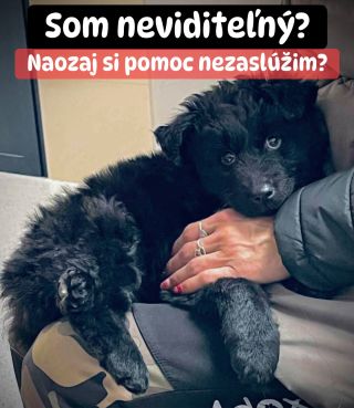 ❗️UŽ SME ÚPLNE V KONCOCH AKO IM POMÔCŤ 😭❗️ ❌❌❌❌❌❌❌❌❌❌❌❌❌❌❌❌❌❌❌❌❌❌ Napriek všetkej snahe sa pomoc pre nich vôbec nehýbe. Aj...