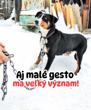 ❗️ČAS BEŽÍ… A MISKY SA SAMÉ NENAPLNIA 🥺❗️ ❌❌❌❌❌❌❌❌❌❌❌❌❌❌❌❌❌❌❌❌❌❌ Zastavili sme sa v polovici, oni sa zastaviť nemôžu❗️🥺 V...