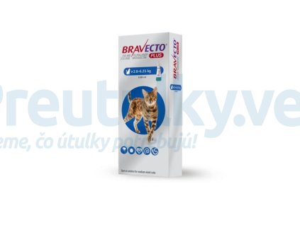 OBC017328 1611081207