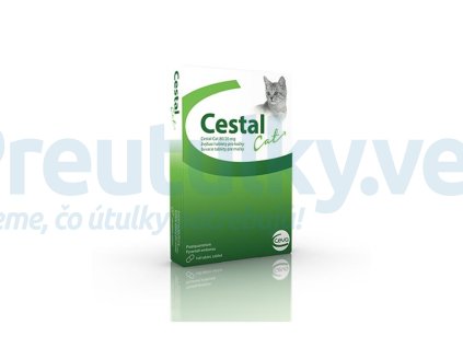 OBC019231 1586249531