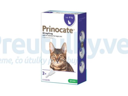 OBC019657 1599202139