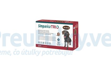 OBC019172 1584612590