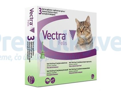 OBC010273 1448026454