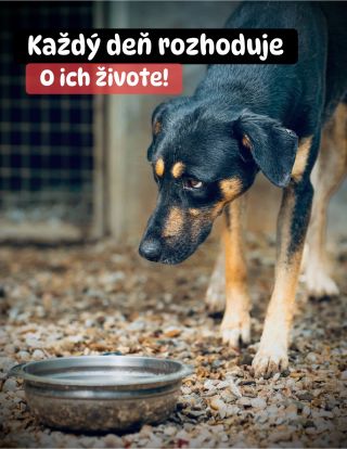 ❗️UŽ SME BLÍZKO, ALE BEZ TEBA TO NEZVLÁDNU 😔❗️ ❌❌❌❌❌❌❌❌❌❌❌❌❌❌❌❌❌❌❌❌❌❌ Každý deň rozhoduje, čo ešte dokážu zvládnuť❗️ A...