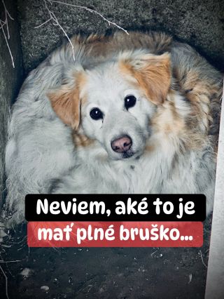 ❗️SÚ MIESTA, KAM POMOC EŠTE NIKDY NEPRIŠLA 🥺❗️ ❌❌❌❌❌❌❌❌❌❌❌❌❌❌❌❌❌❌❌❌❌❌ Sú miesta, kde už sme ich neraz udržali nad vodou a...