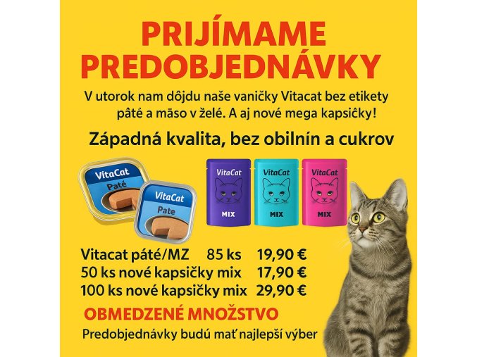 🔔PREDOBJEDNÁVKA! 🔔