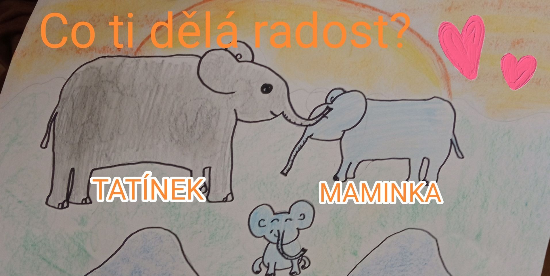 Co ti dělá radost? (anketa pro děti)