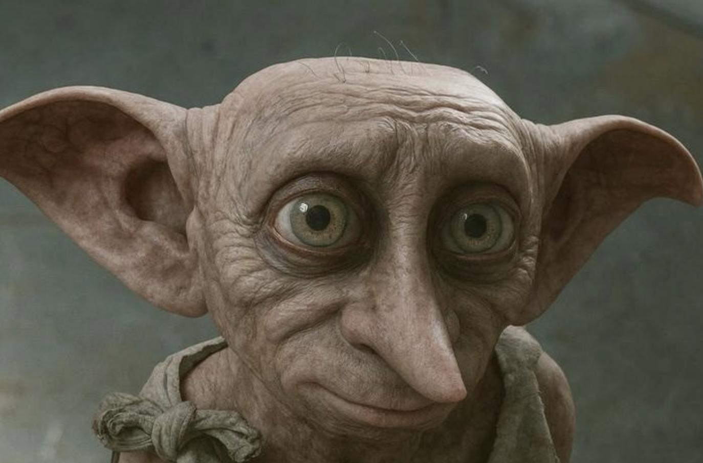 Dobby a svoboda: Příběh nejoblíbenějšího skřítka