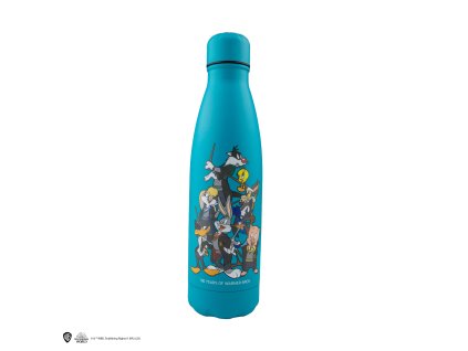 4895205615076 Lahev hliníková Looney Tunes v Bradavicích, Harry Potter - Příčná ulice