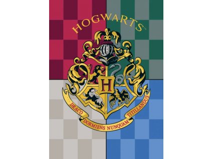 Deka fleecová barevná, Harry Potter