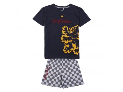 2667 Pyžamo dětské Gryffindor, Harry Potter