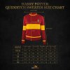 4895205604315 Svetr famfrpálový Nebelvír, Harry Potter - Příčná ulice