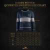 4895205608207 Svetr famfrpálový Havraspár, Harry Potter - Příčná ulice
