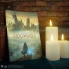 4895205616134 Zápisník Hogwarts Legacy, Harry Potter - Příčná ulice