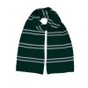 5060256083245 Šála pruhovaná Zmijozel, dlouhá, Harry Potter - Příčná ulice