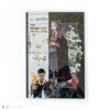 4895205609488 Sešit černý s portrétem Hermiony Grangerové, Harry Potter - Příčná ulice
