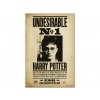 Plakat Harry Potter undesirable