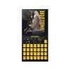 Nástěnný kalendář Harry Potter 2405 (2)