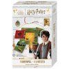 754 Famfrpál Kvinteto, Harry Potter