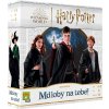 758 Hra Mdloby na tebe Harry Potter (8)
