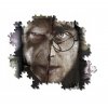 8271 Puzzle Clementoni Tváře kouzelníků, Harry Potter (2)