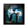 2410 Kalendář nástěnný 2024,2025, Harry Potter