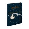 6981 Desky na školní sešity A4, Harry Potter