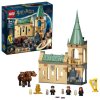 LEGO® Harry Potter 76387 Bradavice: Setkání s Chloupkem